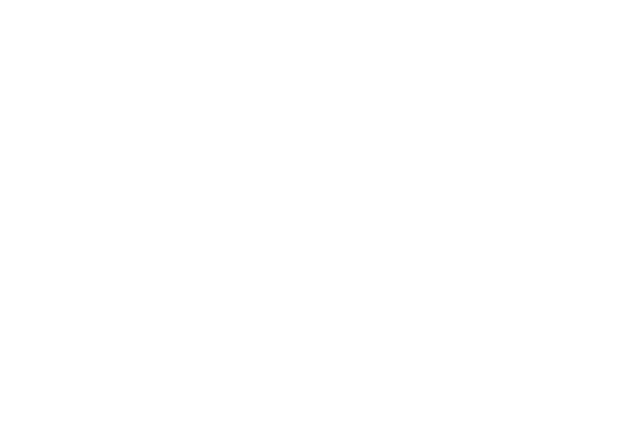 Savage N2O